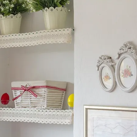 Dream Old&new Sunny Delight