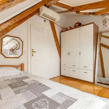 Dream Old&new Sunny Delight Split