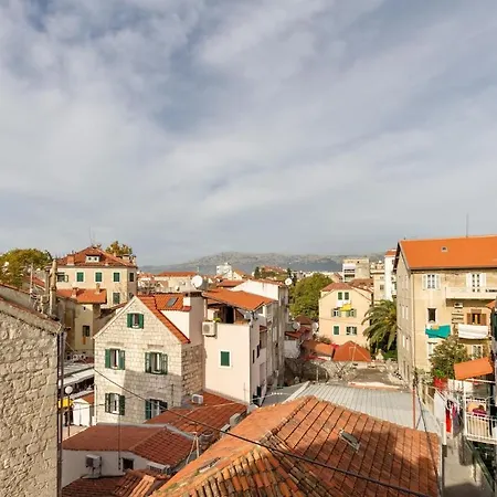 Dream Old&new Sunny Delight