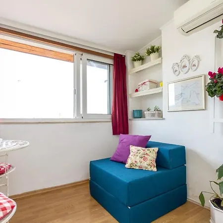 Dream Old&new Sunny Delight * Split