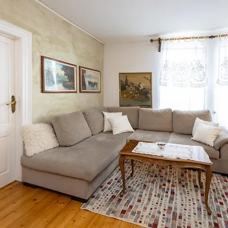 Dream Old&new Sunny Delight