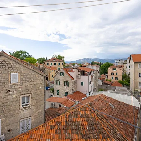 Dream Old&new Sunny Delight *