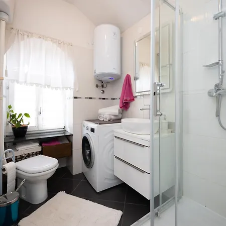 Dream Old&new Sunny Delight