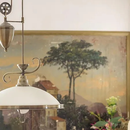 Dream Old&new Sunny Delight سبليت