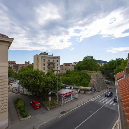 Dream Old&new Sunny Delight سبليت